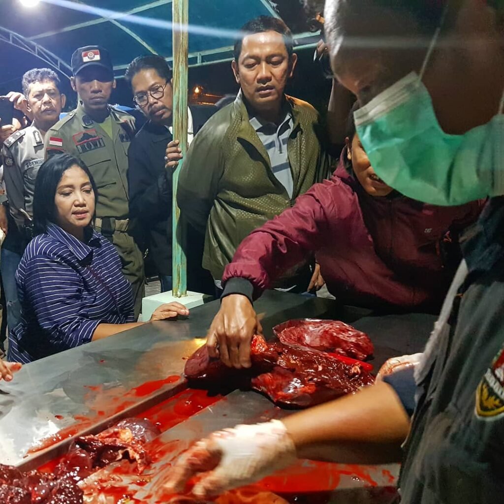 daging