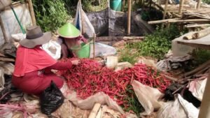 1-cabe