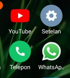pembaasan Whatshap
