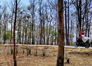 juwangi3