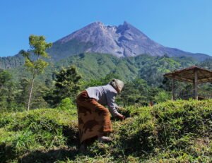 klangon2 merapi
