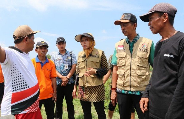 bupati dan sekda tinjau pintu air Demak 2