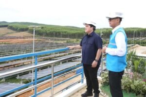 menteri BUMN dan Dirut PLN