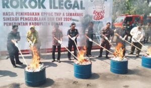 pemusnahan rokok ilegal bea cukai semarang