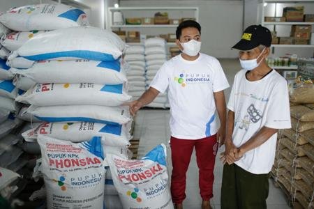 pupuk subsidi pemerintah