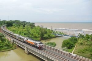 Kereta api rangkaian