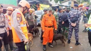 anjing2