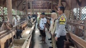 monitoring PMK demak