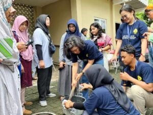 paving plastik2