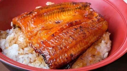 unagi ikan sidat