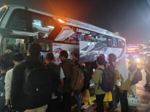 bus